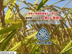 Sites similar to iwafunemai.com