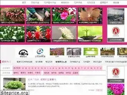 Sites similar to iyanghua.com