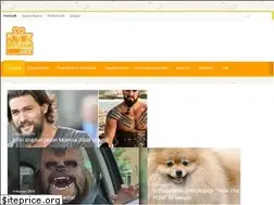 Sites similar to iyikidogdun.net