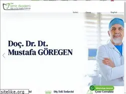 izmirakademidis.com