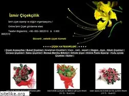 Sites similar to izmircicekci.name.tr