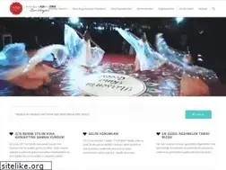 Sites similar to izmirkinaorganizasyon.com