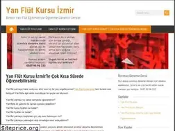 Sites similar to izmiryanflutdersi.com