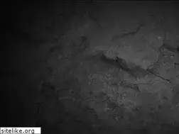 Sites similar to izruk.info