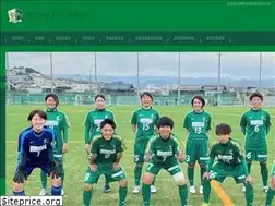 Sites similar to izumitechnofc.com