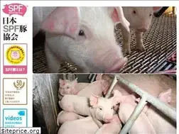 Sites similar to j-spf.com