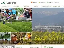 Sites similar to ja-hadano.or.jp