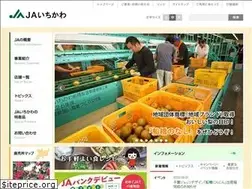 Sites similar to ja-ichikawashi.or.jp