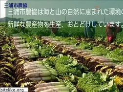 Sites similar to ja-miurashi.or.jp
