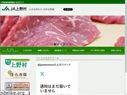 Sites similar to ja-uenomura.com