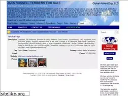 Sites similar to jackrussells.net