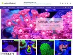 Sites similar to jadwigamorska.pl