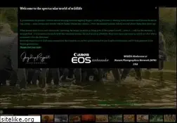 Sites similar to jagdeeprajput.com