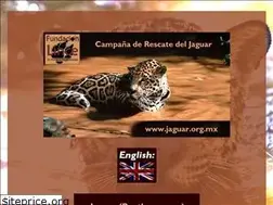 Sites similar to jaguar.org.mx