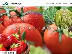 Sites similar to jakamituga.jp