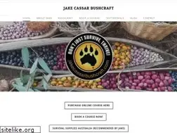 Sites similar to jakecassarbushcraft.com
