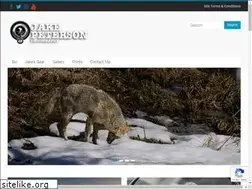 Sites similar to jakepeterson.org