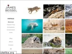 Sites similar to jamesbeissel.com