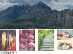 Sites similar to jamesrodkey.com