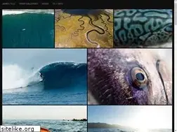 Sites similar to jamestull.com