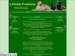 Sites similar to jamniki.pl