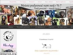 Sites similar to jamnikiniczyje.pl