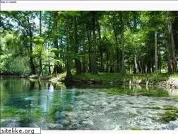 Sites similar to janekeeler.com