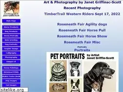 Sites similar to janetgriffinscott.com