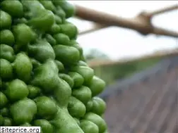 Sites similar to japan.ne.jp