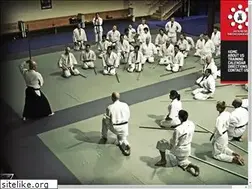 Sites similar to japaneseswordsmanship.com