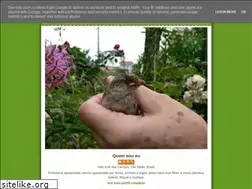 Sites similar to jardimdapreta.blogspot.com