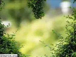 Sites similar to jardin-pratique.fr