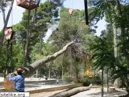 Sites similar to jardineriajarsal.com