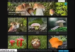 Sites similar to jaroslavmachacek.com