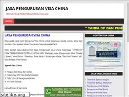 Sites similar to jasapengurusanvisachina.com