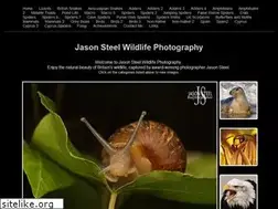 Sites similar to jasonsteelwildlifephotography.yolasite.com