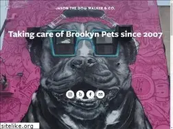 Sites similar to jasonthedogwalker.com