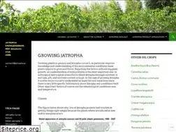 Sites similar to jatropha.pro