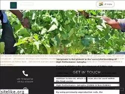Sites similar to jatropower.ch