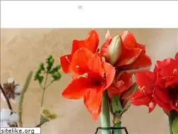 Sites similar to javadoplant.com