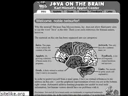 Sites similar to javaonthebrain.com
