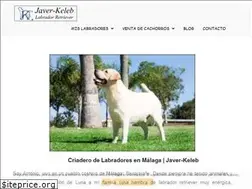 Sites similar to javer-keleb.com