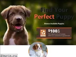 Sites similar to jaxpetland.com