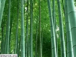 Sites similar to jc-km.net