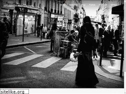 Sites similar to jedgammon.com