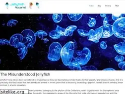 Sites similar to jellyfishaquarist.com