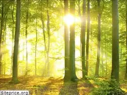 Sites similar to jelmermeurisse.be