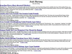Sites similar to jenisburung.co