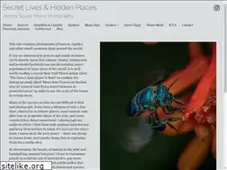 Sites similar to jeremysquire.com