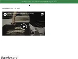 Sites similar to jerseyworms.com